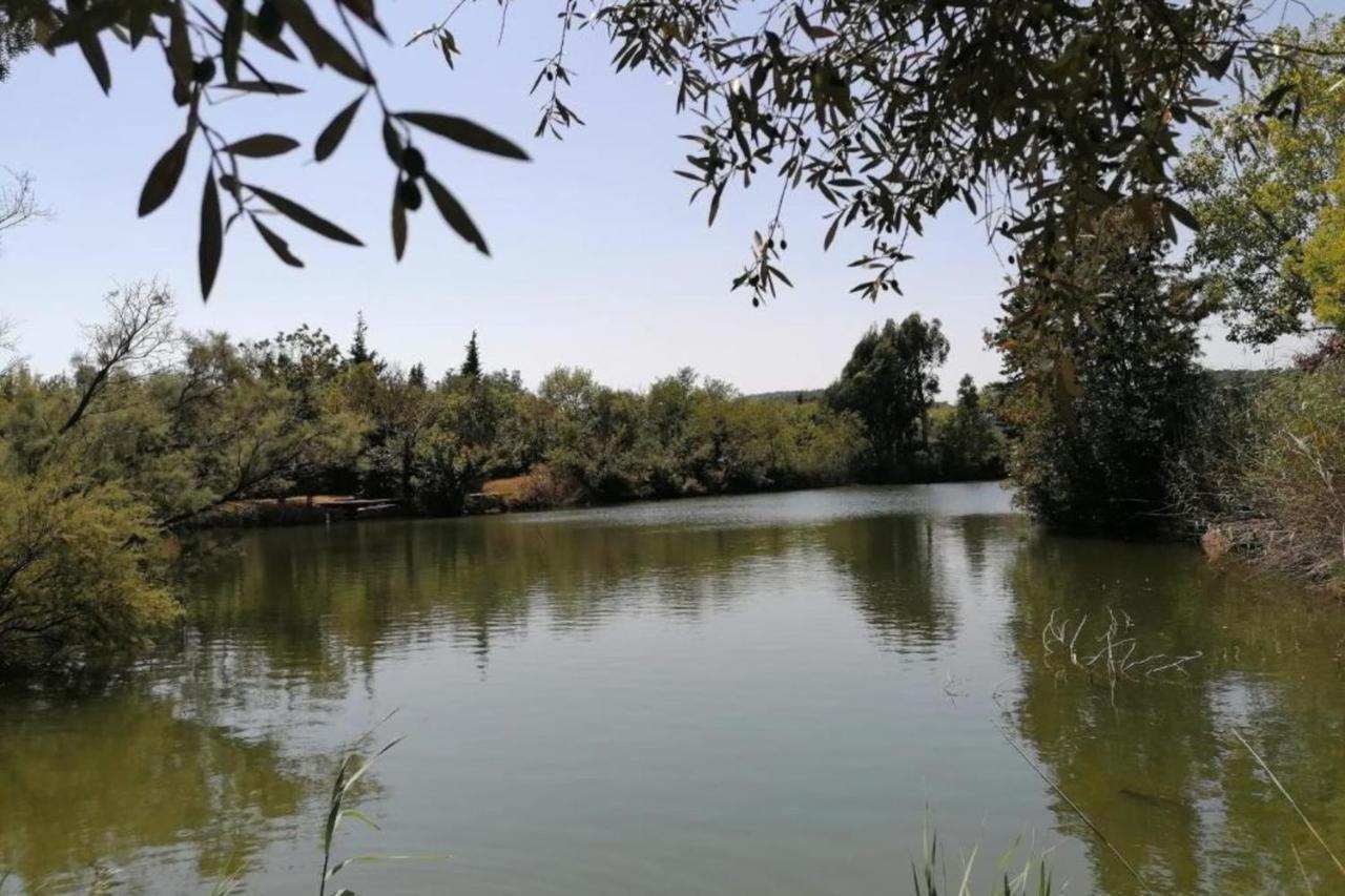Quiet With Garden And Terrace In Holiday home Frejus