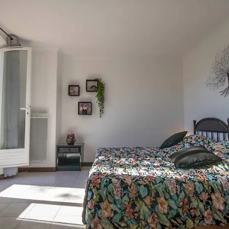 Quiet Villa With Garden And Terrace In Frejus Exterior photo